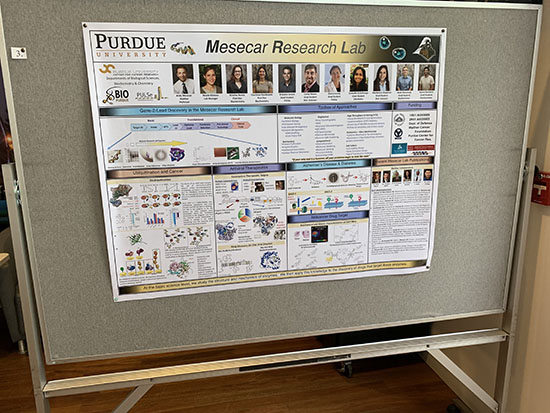 Mesecar Research Lab poster.