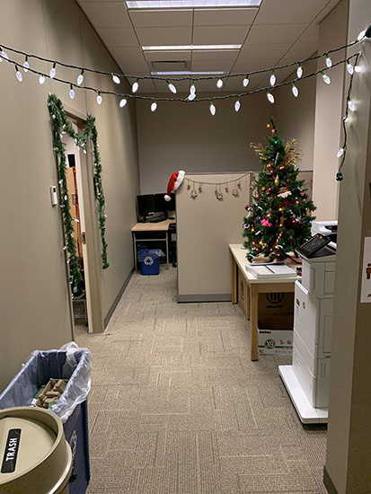 Lab with Christmas decorations.