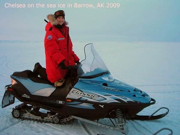 Chelsea on the sea ice in Barrow, AK 2009