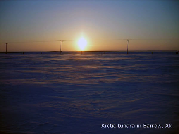 Arctic tundra in Barrow, AK