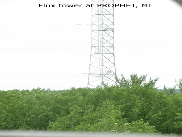 Flux tower at PROPHET, MI