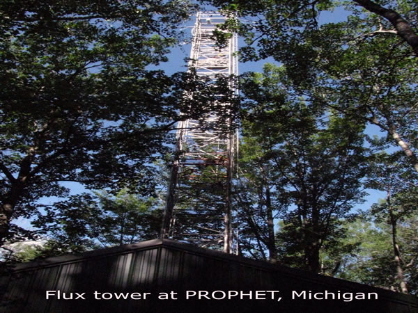 Flux tower at PROPHET, Michigan