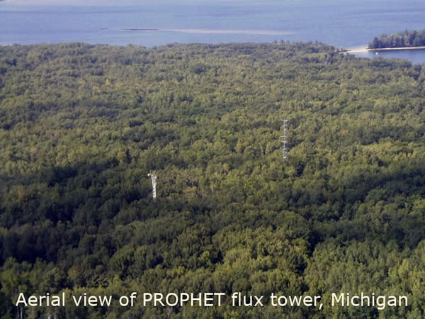 Aerial view of PROPHET flux tower, Michigan